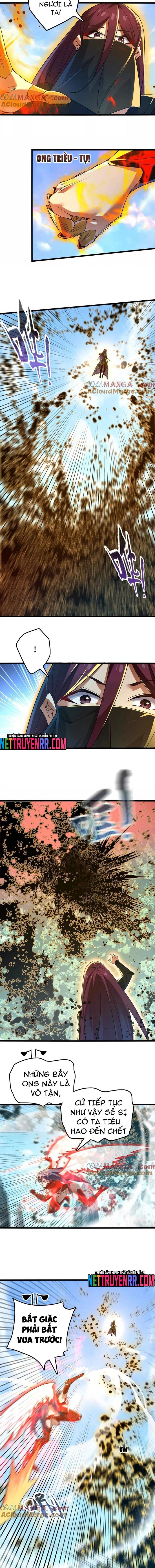 Tiến Hóa Đi, Caterpie: Chapter 113