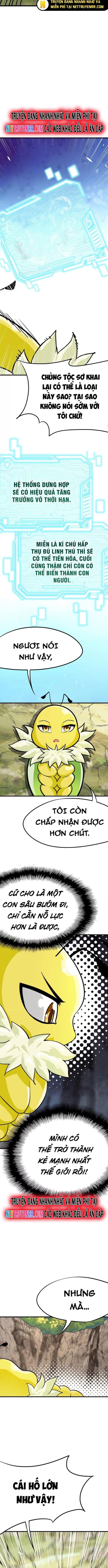 Tiến Hóa Đi, Caterpie: Chapter 3