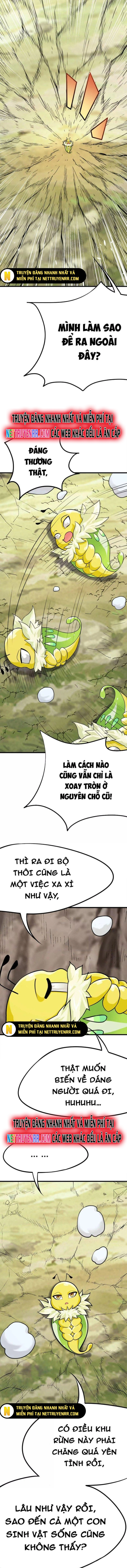 Tiến Hóa Đi, Caterpie: Chapter 3