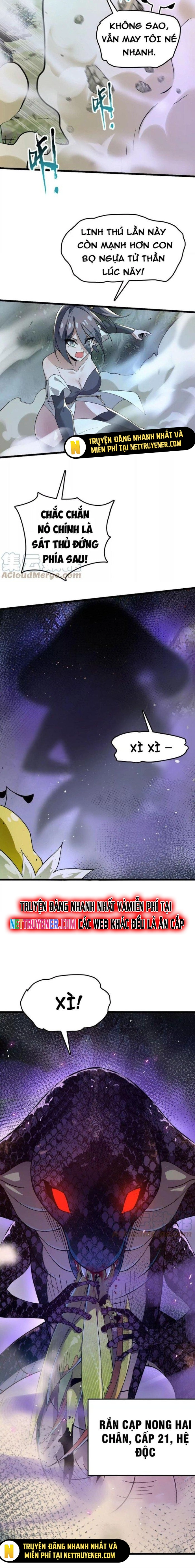 Tiến Hóa Đi, Caterpie: Chapter 32