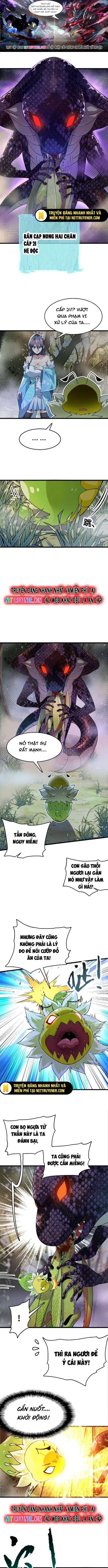 Tiến Hóa Đi, Caterpie: Chapter 33