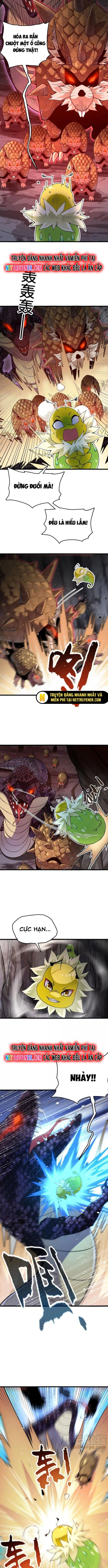 Tiến Hóa Đi, Caterpie: Chapter 34