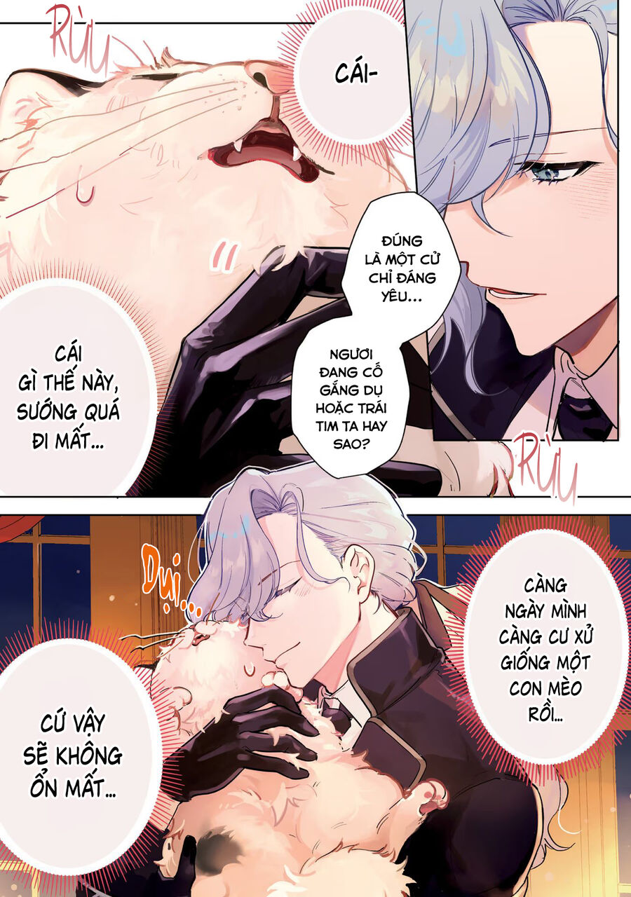 Tiểu Thư Nhút Nhát Hóa Mèo, Lúc Suýt Chết Thì Được Công Tước Cứu: Chapter 1