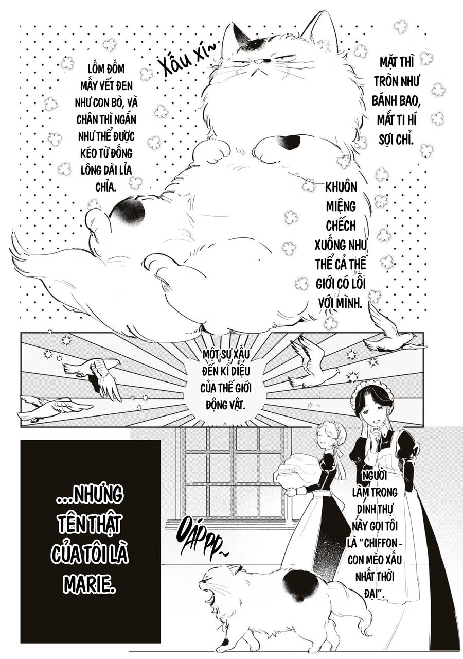 Tiểu Thư Nhút Nhát Hóa Mèo, Lúc Suýt Chết Thì Được Công Tước Cứu: Chapter 1