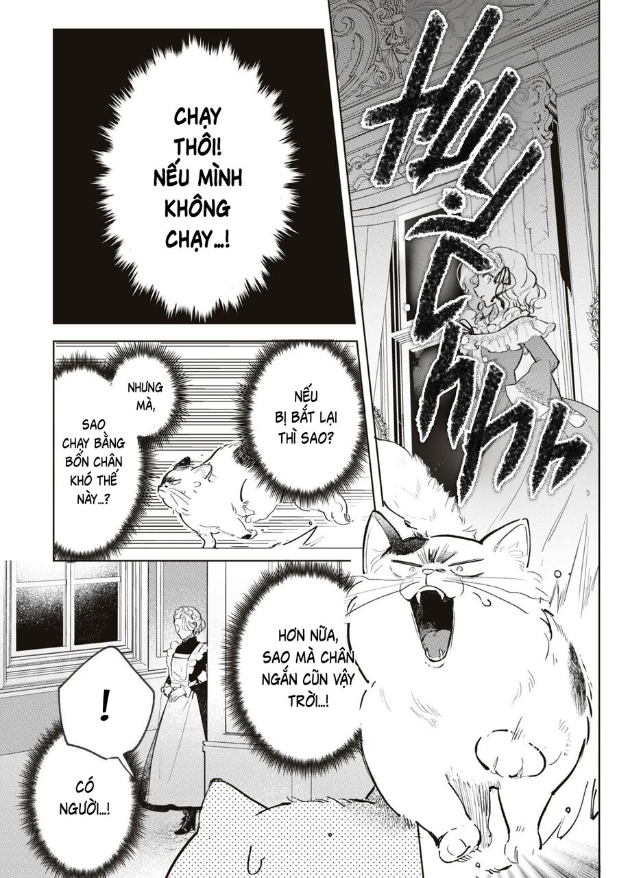 Tiểu Thư Nhút Nhát Hóa Mèo, Lúc Suýt Chết Thì Được Công Tước Cứu: Chapter 3