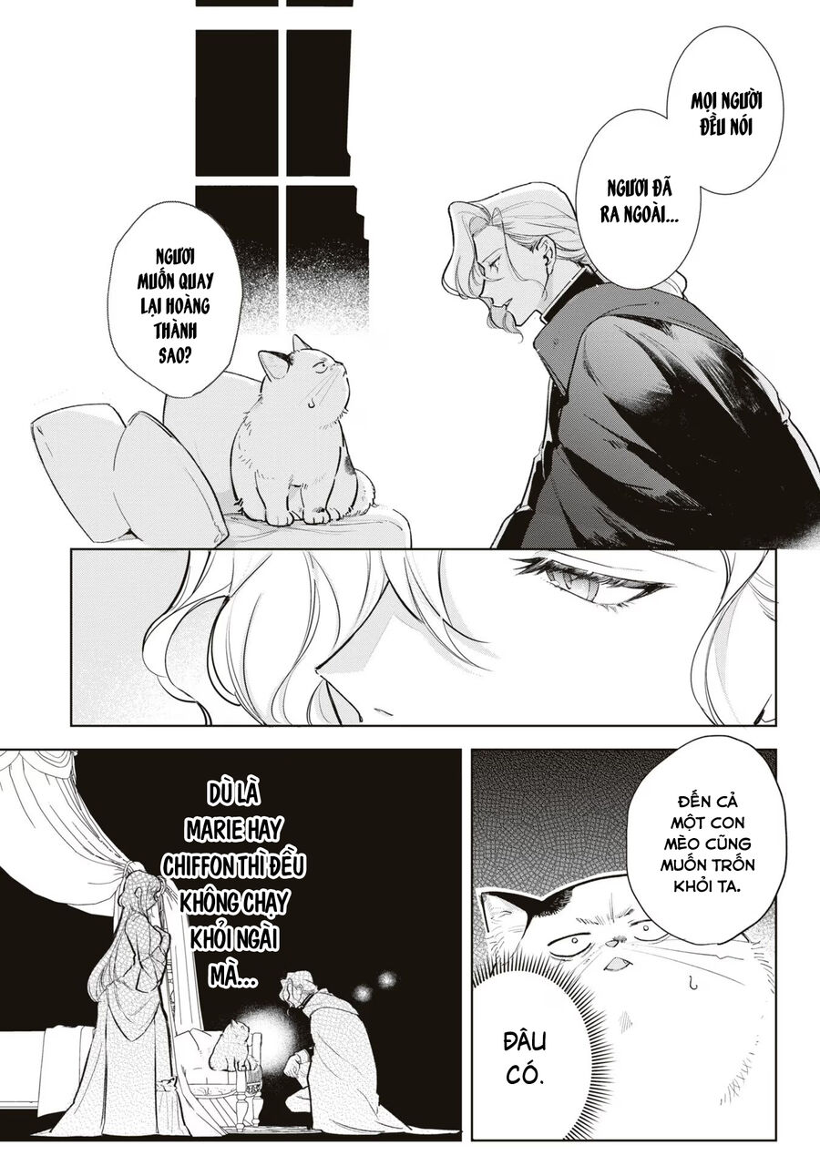 Tiểu Thư Nhút Nhát Hóa Mèo, Lúc Suýt Chết Thì Được Công Tước Cứu: Chapter 5