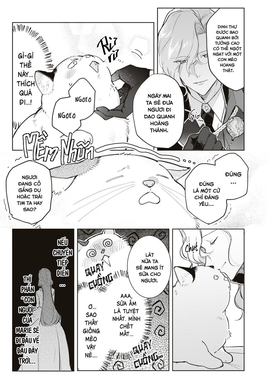 Tiểu Thư Nhút Nhát Hóa Mèo, Lúc Suýt Chết Thì Được Công Tước Cứu: Chapter 5