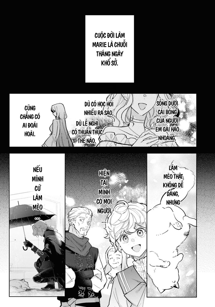 Tiểu Thư Nhút Nhát Hóa Mèo, Lúc Suýt Chết Thì Được Công Tước Cứu: Chapter 8