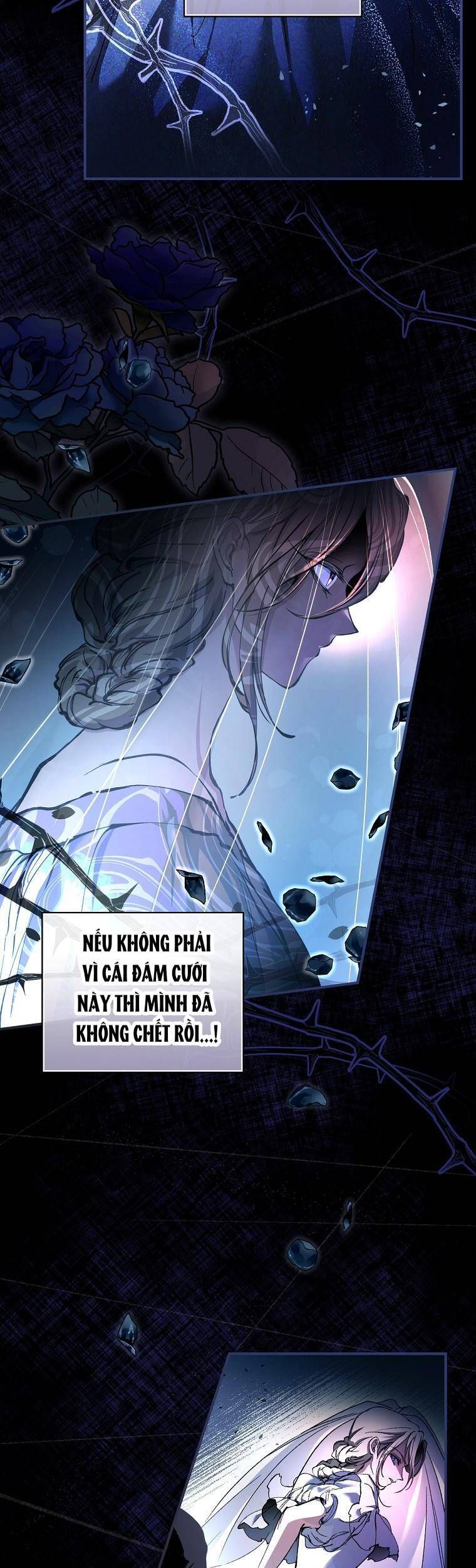 Tìm Một Người Chồng Mới: Chapter 1