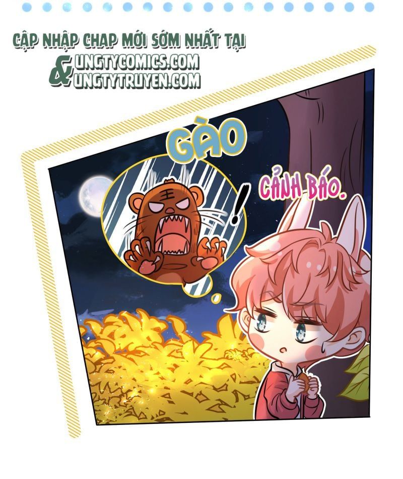Tin Tức Tố Nói Chúng Ta Không Có Khả Năng: Chapter 6.5