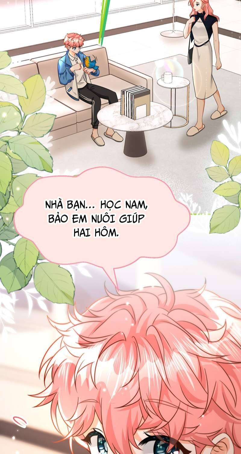 Tin Tức Tố Nói Chúng Ta Không Có Khả Năng: Chapter 76