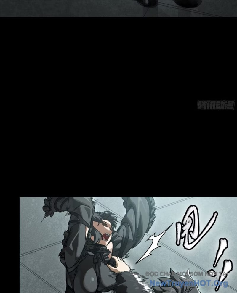 Tinh Giáp Hồn Tướng: Chapter 288