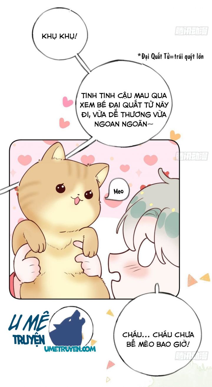 Tình Yêu Mạng Ngọt Ngào Lật Xe Rồi!: Chapter 34
