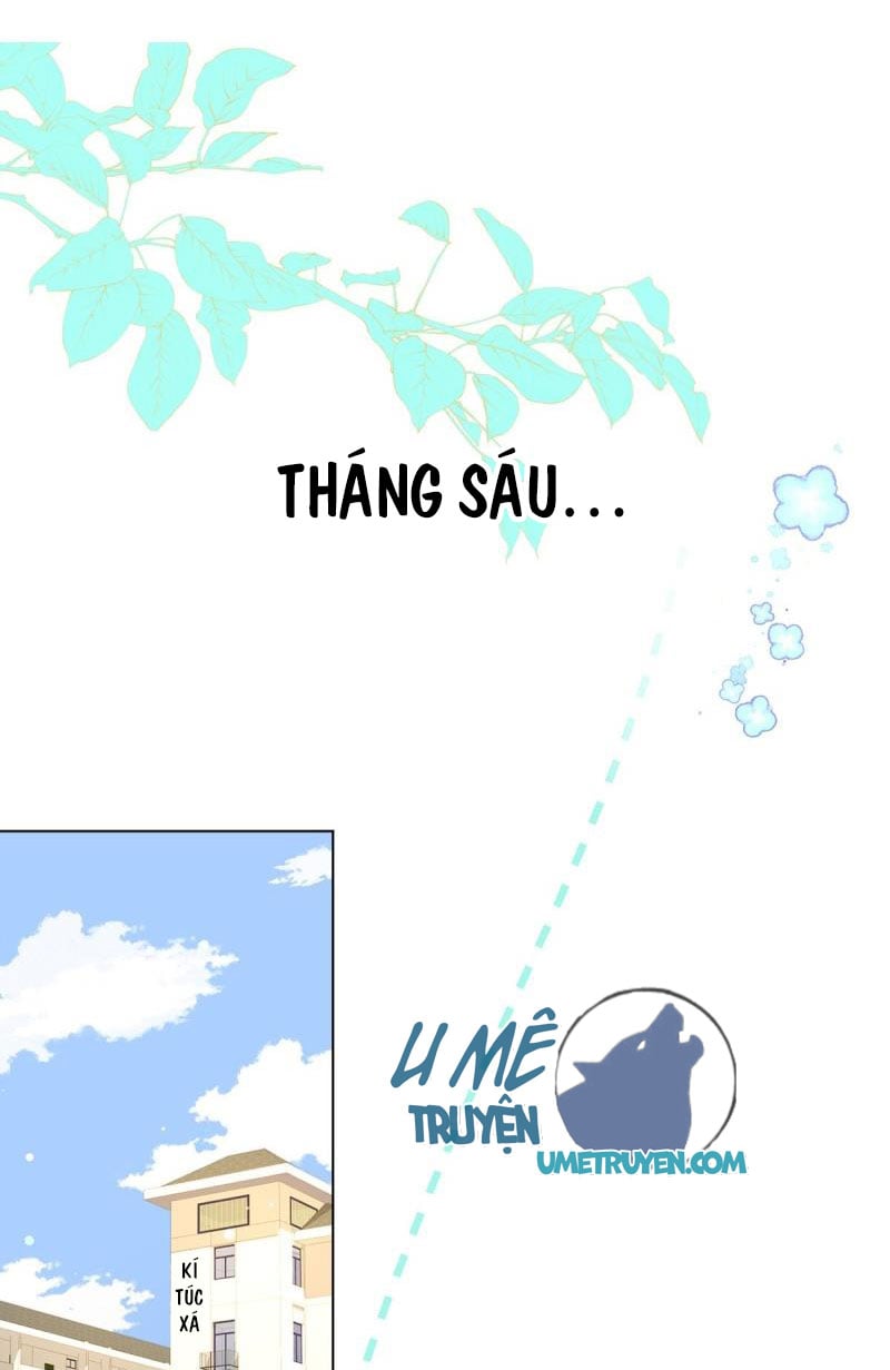 Tình Yêu Mạng Ngọt Ngào Lật Xe Rồi!: Chapter 56