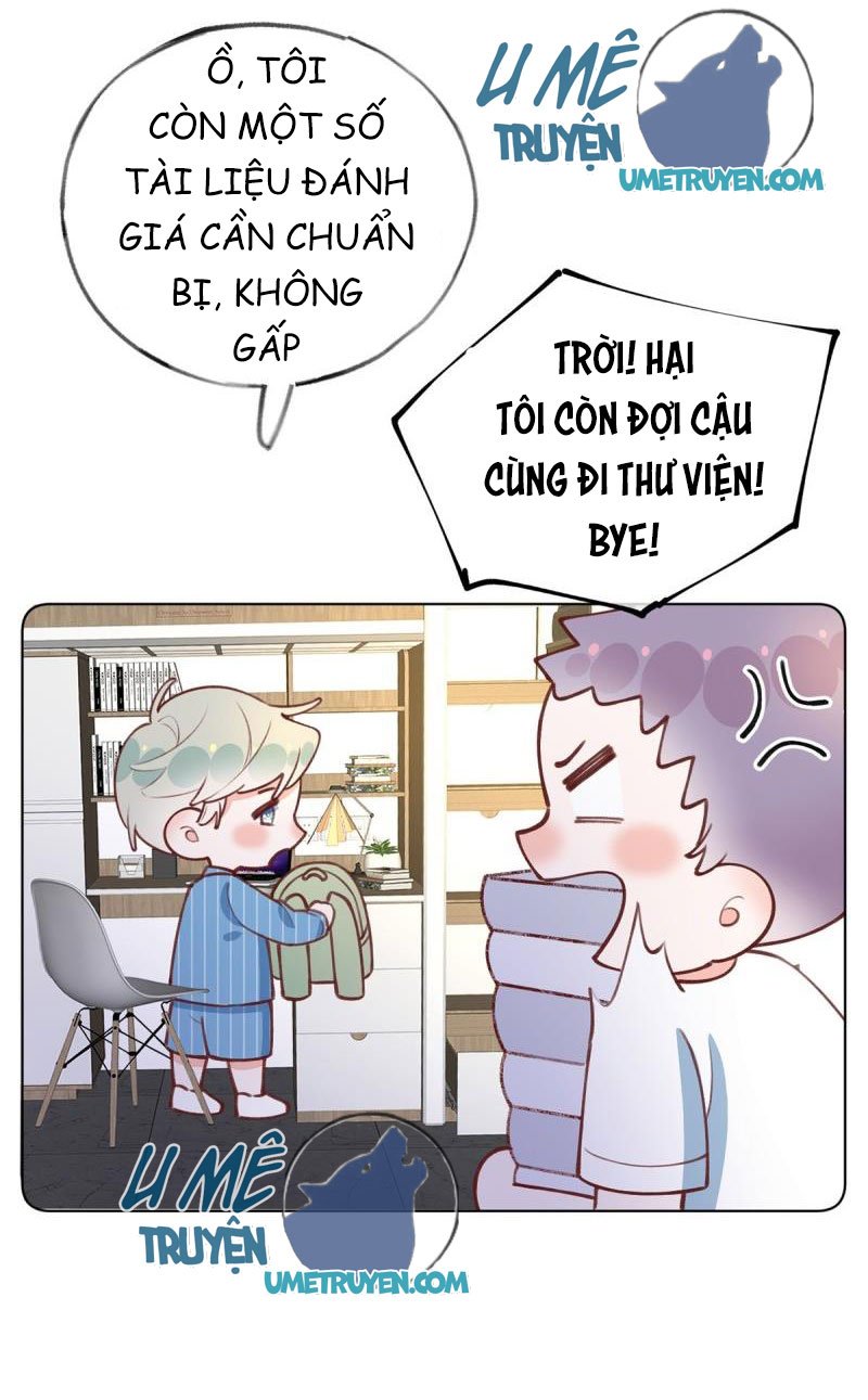 Tình Yêu Mạng Ngọt Ngào Lật Xe Rồi!: Chapter 56