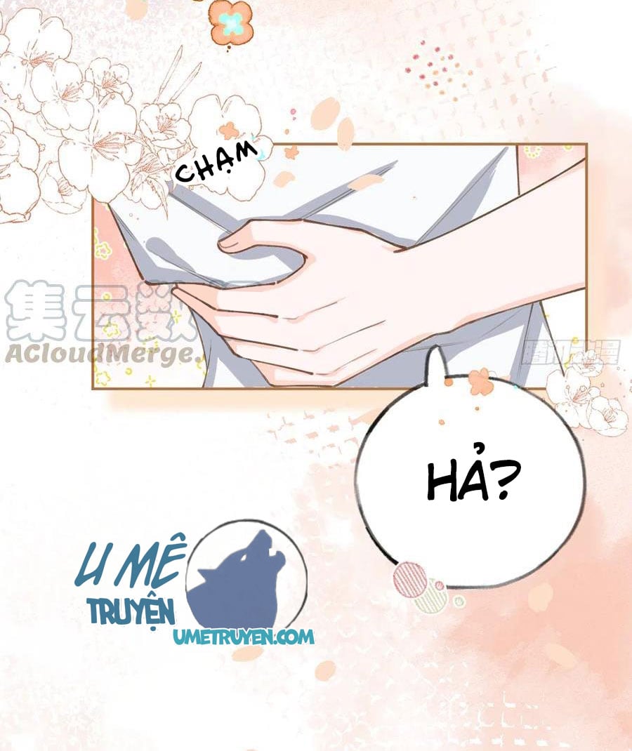 Tình Yêu Mạng Ngọt Ngào Lật Xe Rồi!: Chapter 65