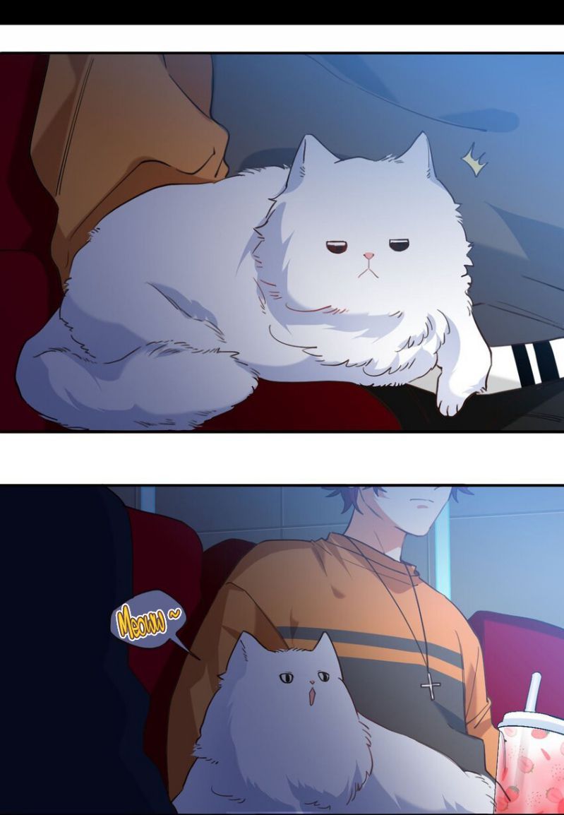 Tình Yêu Trên Mạng Của Giáo Bá Lật Xe Rồi: Chapter 24