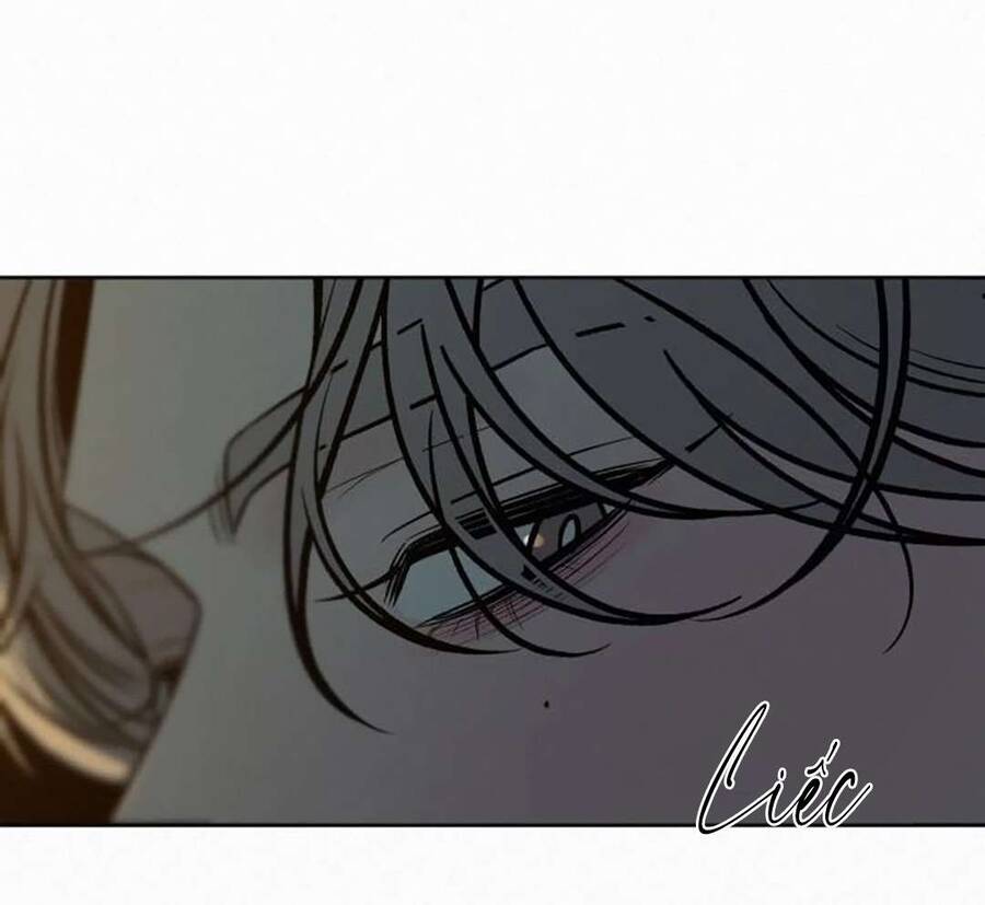 Tình Yêu Trong Sáng: Chapter 111