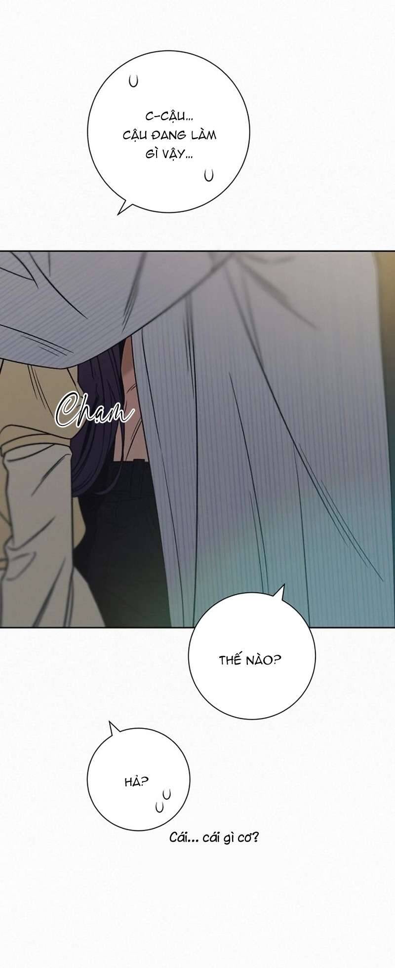 Tình Yêu Trong Sáng: Chapter 112