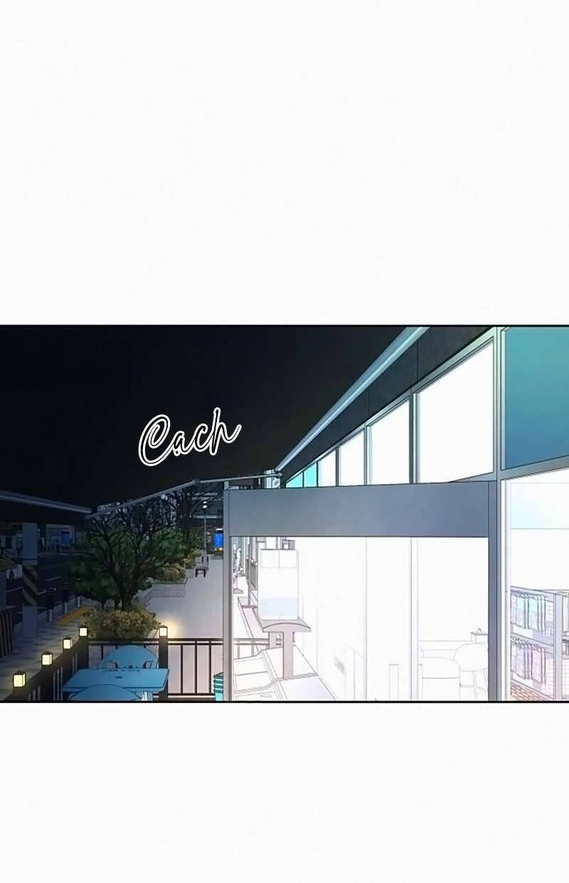 Tình Yêu Trong Sáng: Chapter 114