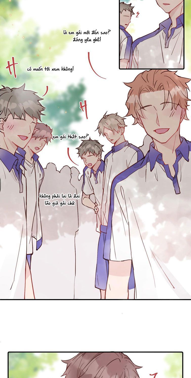 Tỏ Tình Vô Hiệu: Chapter 21