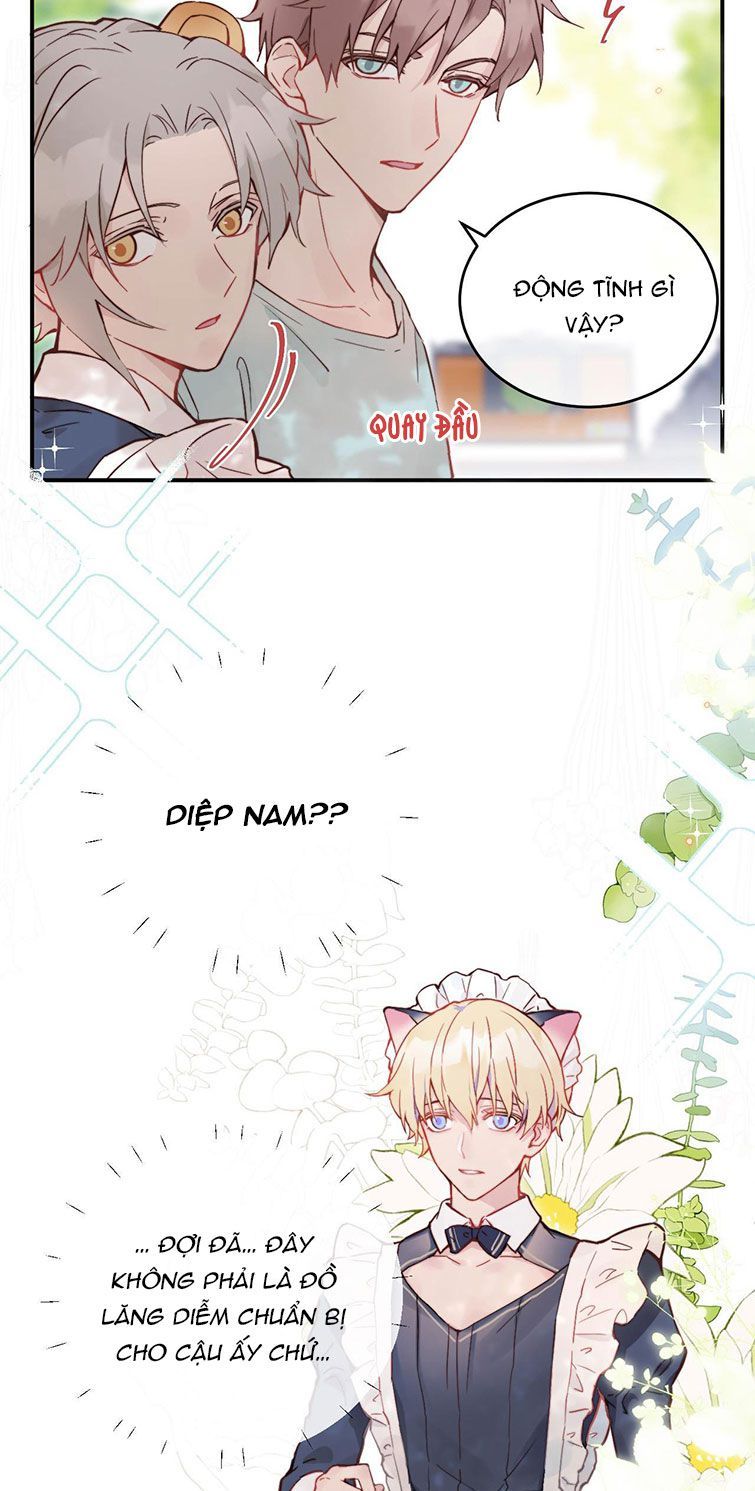 Tỏ Tình Vô Hiệu: Chapter 21