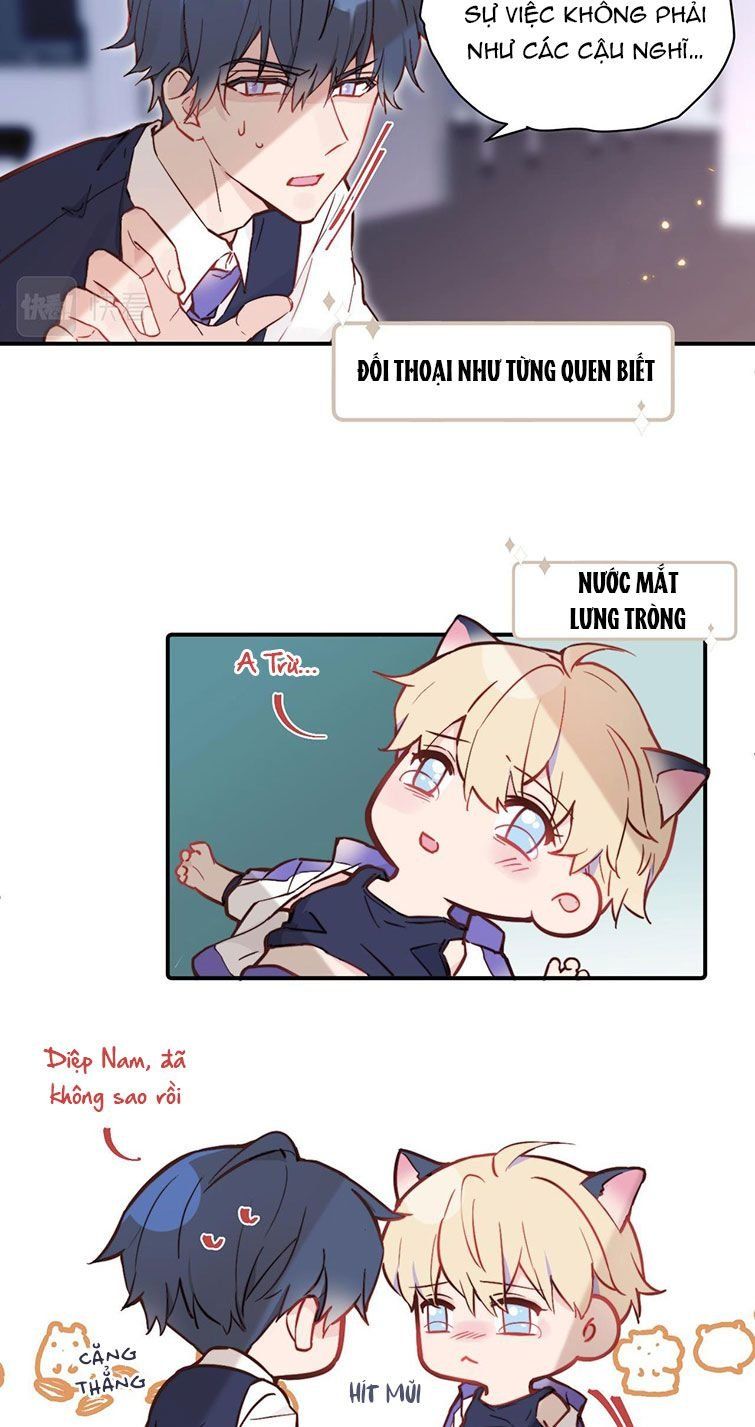 Tỏ Tình Vô Hiệu: Chapter 21