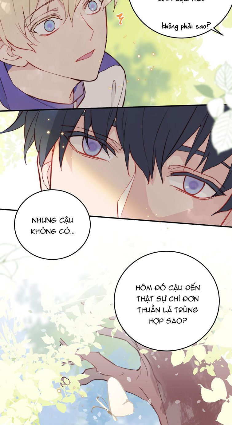 Tỏ Tình Vô Hiệu: Chapter 6