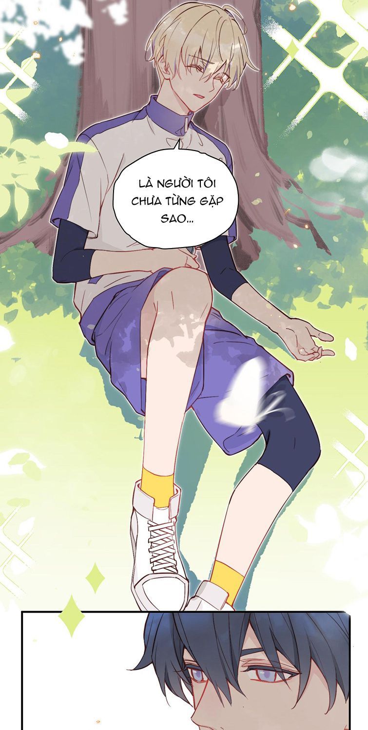 Tỏ Tình Vô Hiệu: Chapter 7