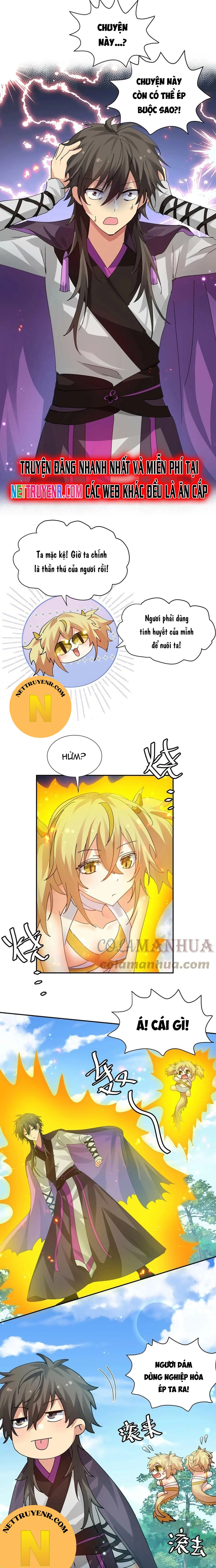 Toàn Bộ Tu Chân Giới Muội Tử Muốn Bắt Ta: Chapter 131