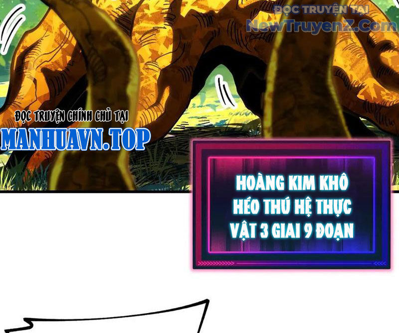 Toàn Cầu Ngự Thú: Ta Có Thể Thấy Lộ Tuyến Tiến Hoá: Chapter 23