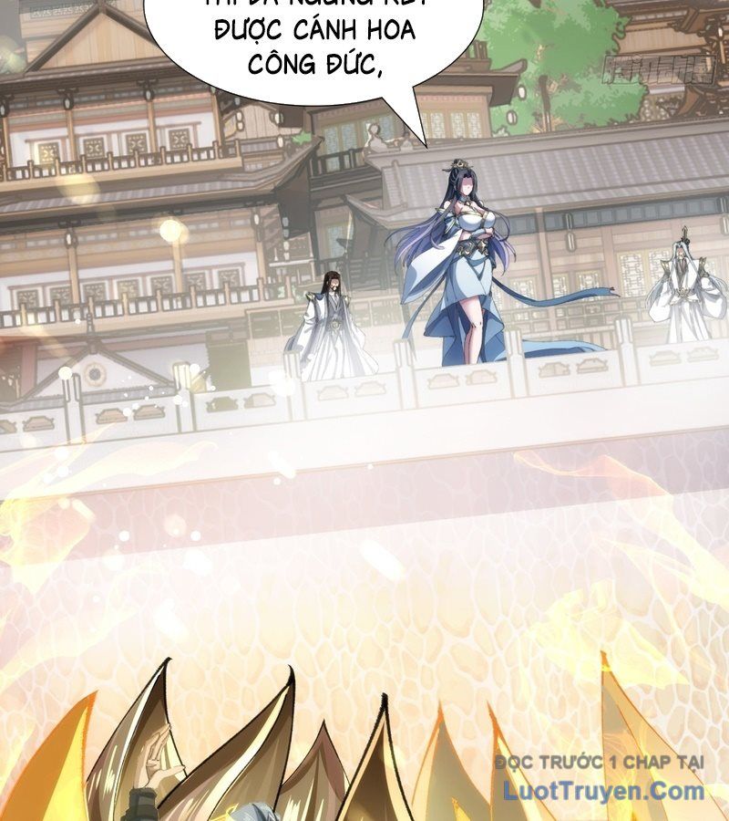 Tốc Thông Tu Tiên: Chapter 2