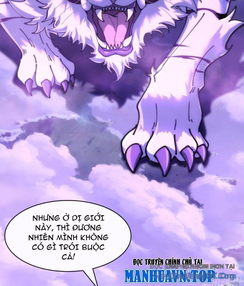 Tốc Thông Tu Tiên: Chapter 5