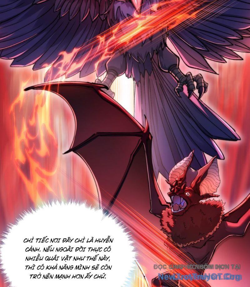 Tốc Thông Tu Tiên: Chapter 5