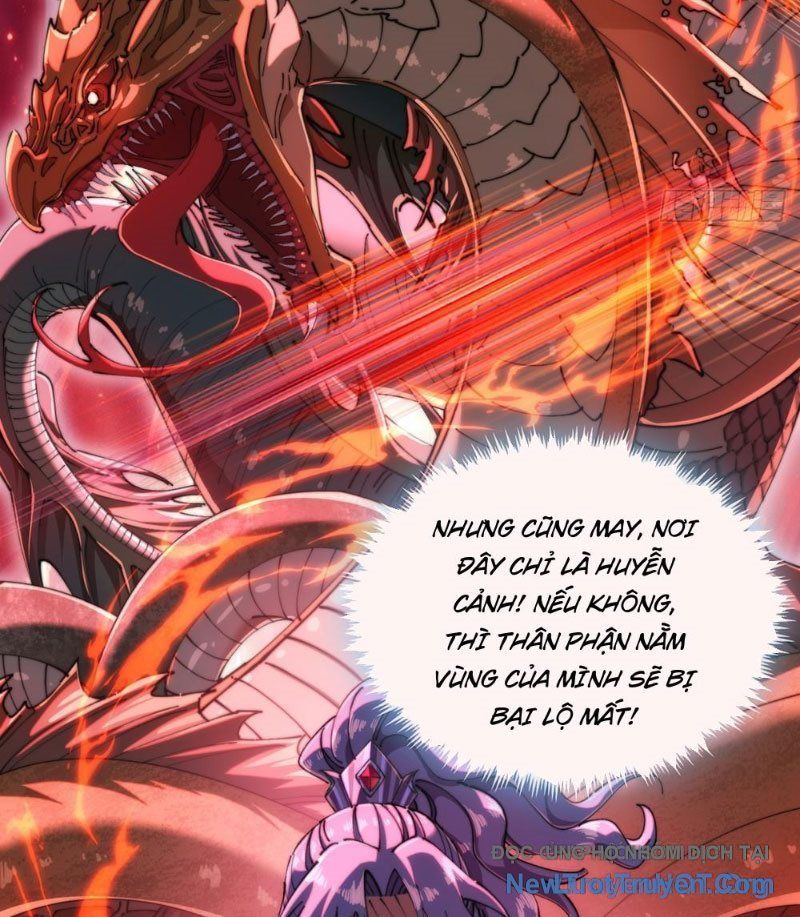 Tốc Thông Tu Tiên: Chapter 5