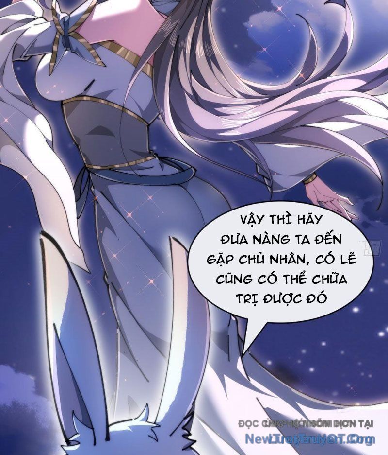 Tốc Thông Tu Tiên: Chapter 5