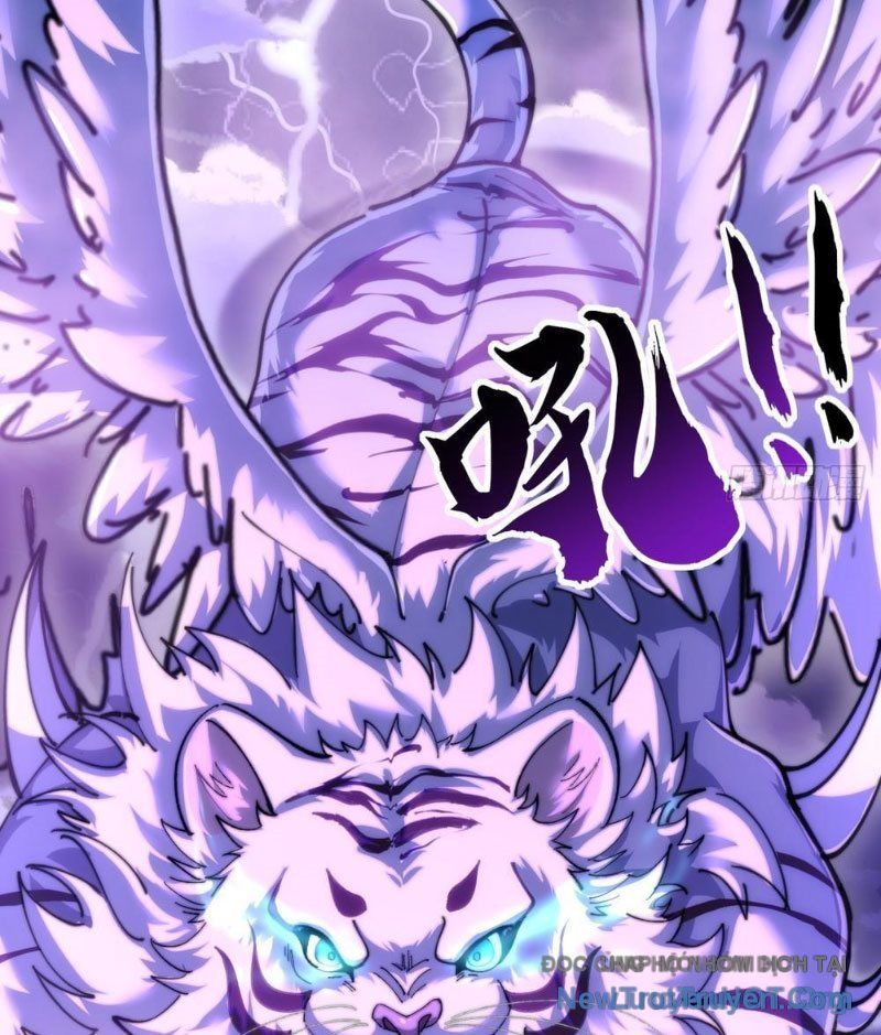 Tốc Thông Tu Tiên: Chapter 5