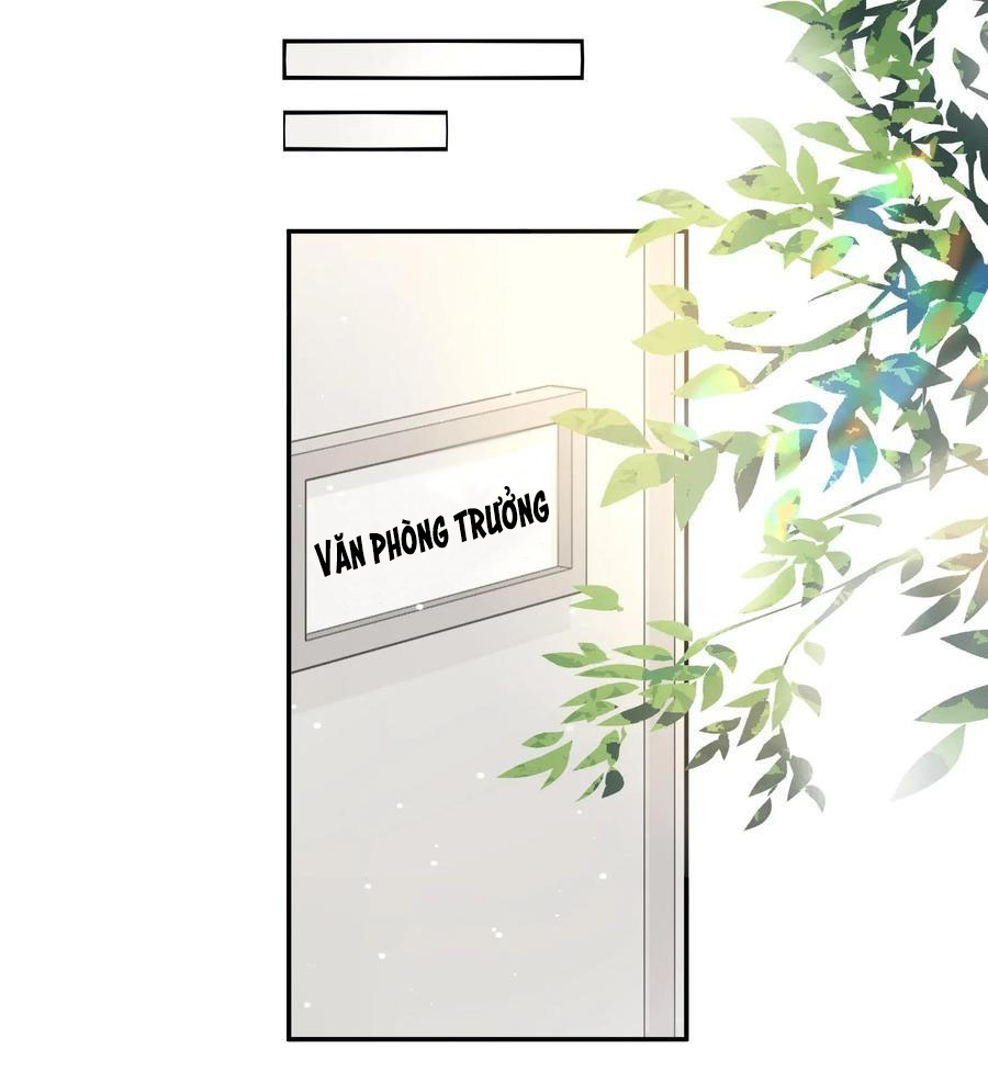 Tôi Bảo Bạn Cùng Bàn Đánh Cậu: Chapter 5