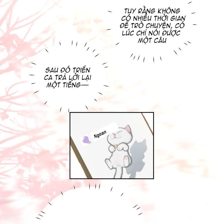 Tôi Bảo Bạn Cùng Bàn Đánh Cậu: Chapter 71