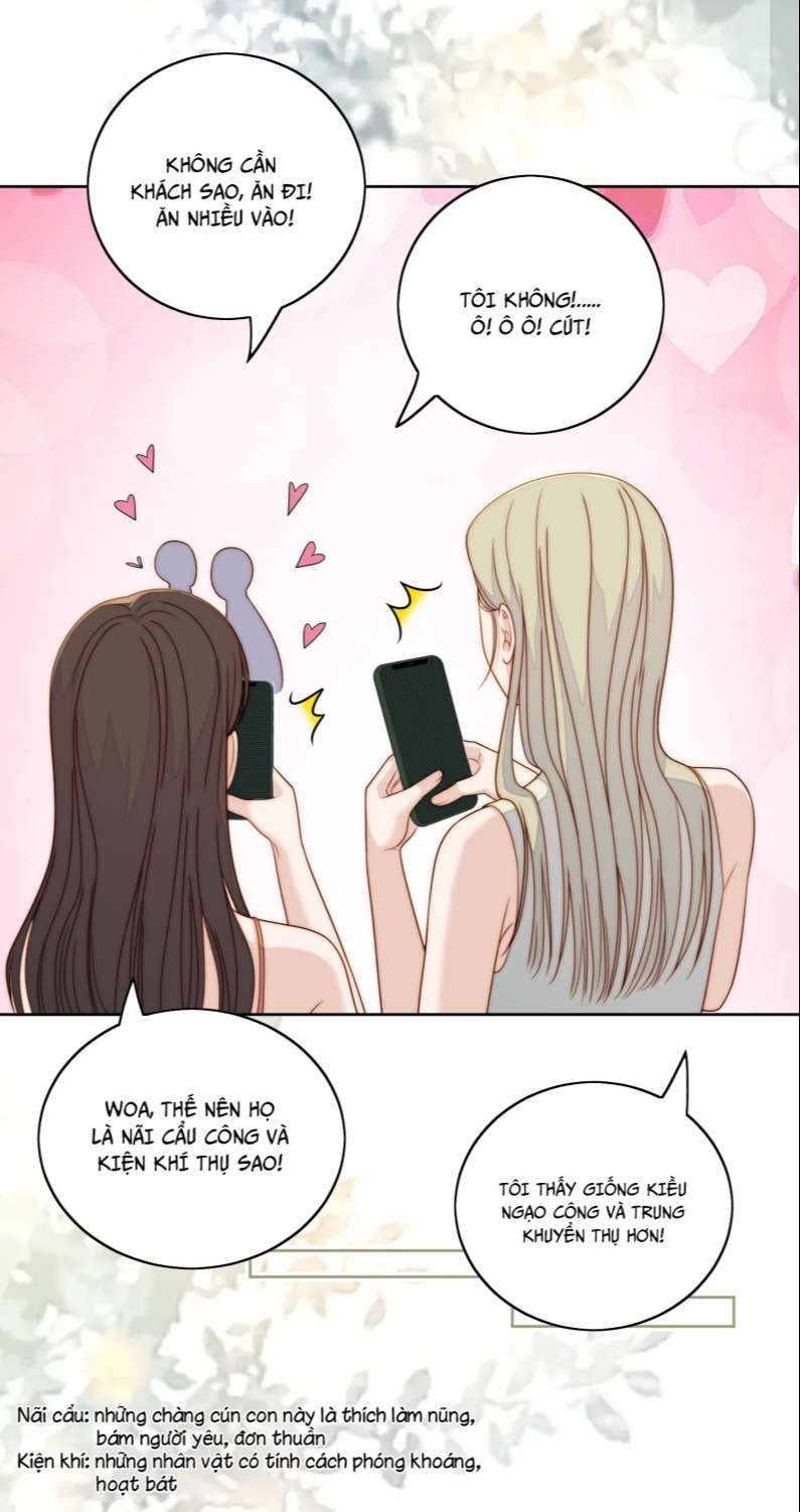 Tôi Bảo Bạn Cùng Bàn Đánh Cậu: Chapter 81
