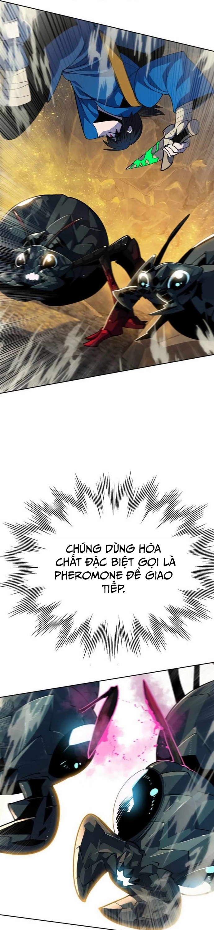Tôi Chỉ Là Người Khuân Vác Trong Hầm Ngục: Chapter 21
