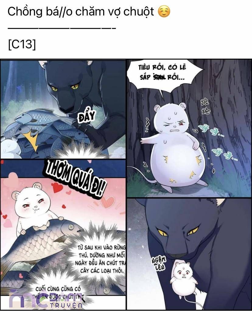 Tôi Cũng Muốn Làm Mợ Út: Chapter 66