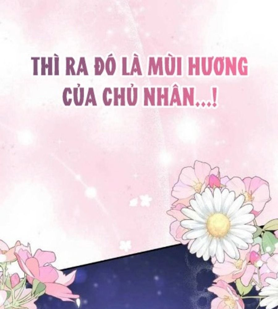 Tôi Đóng Vai Con Gái Nuôi Quá Giỏi: Chapter 75