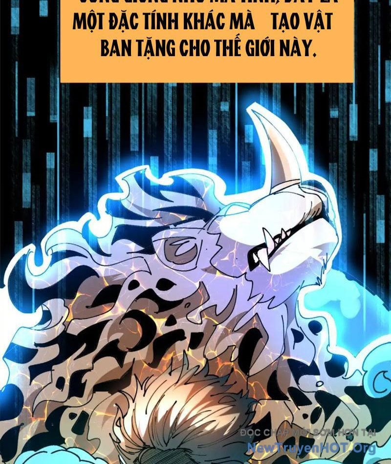 Tôi Dùng Hệ Thống Đỉnh Cấp Tái Tạo Thế Giới: Chapter 15