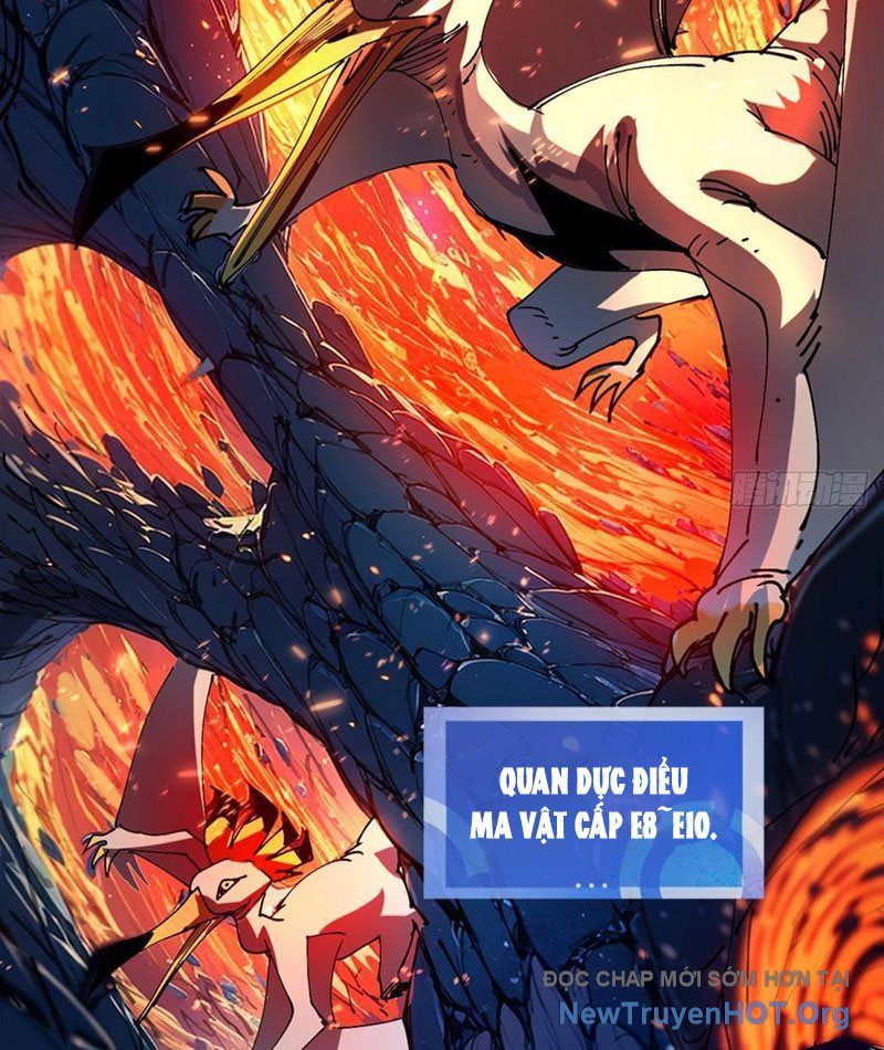 Tôi Dùng Hệ Thống Đỉnh Cấp Tái Tạo Thế Giới: Chapter 3