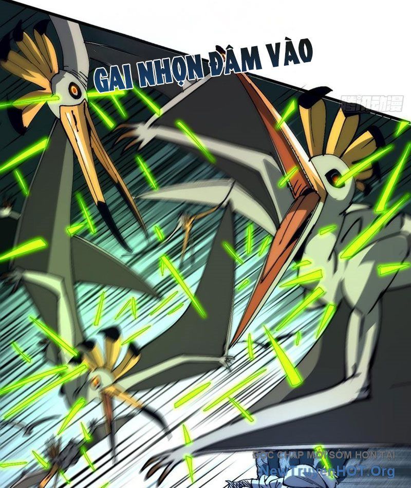 Tôi Dùng Hệ Thống Đỉnh Cấp Tái Tạo Thế Giới: Chapter 4