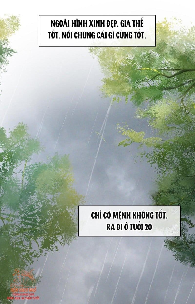 Tôi Được Năm Nam Chính Sủng: Chapter 0