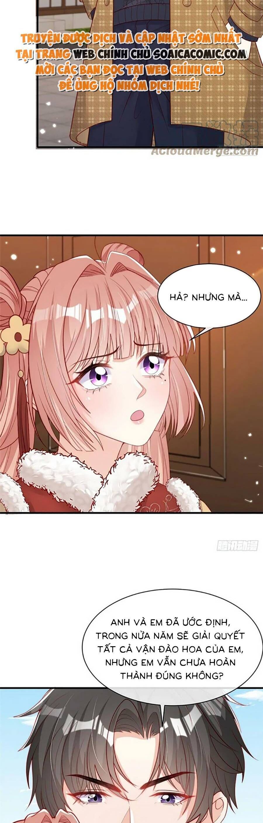 Tôi Được Năm Nam Chính Sủng: Chapter 113