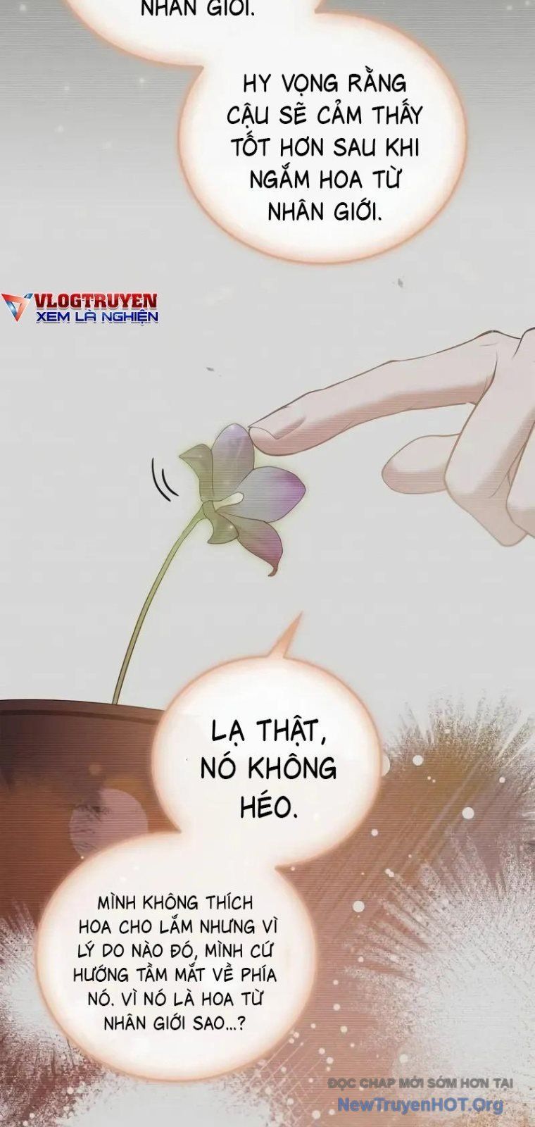 Tôi Không Tài Năng Đến Thế Đâu: Chapter 93