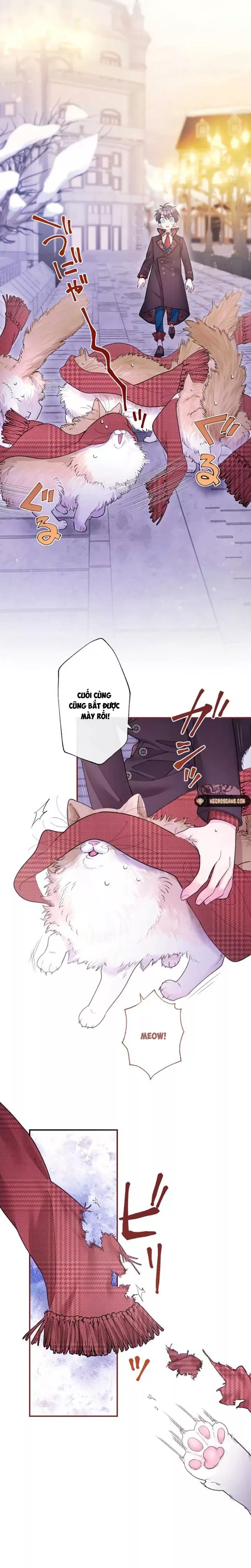 Tôi Là Người Mẹ Kế Vô Dụng, Nhưng Tôi Yêu Gia Đình Nhỏ Của Mình Vô Cùng!: Chapter 18